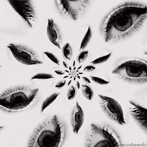 Eyes Catty Noir, Qi Gong, Aesthetic Gif, Eye Art, 인물 사진, Everyday Objects, An Eye, Surreal Art, Optical Illusions