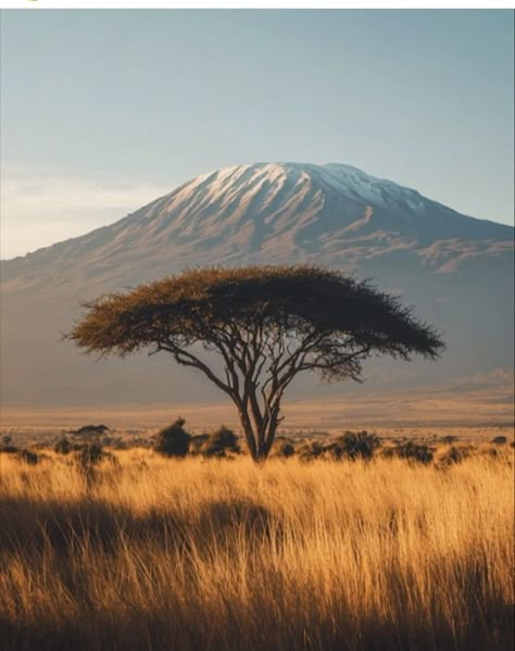 Zanzibar Tanzania Aesthetic, Africa Safari Aesthetic, Savana Landscape, Africa Travel Aesthetic, Aesthetic Geography, Tanzania Aesthetic, Tanzania Kilimanjaro, African Mountains, Geography Aesthetic