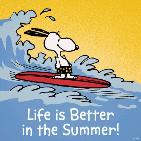 Surf dog!! #snoopy #summer love Charlie Brown And Friends, Brown And Friends, Snoopy And Charlie Brown, Peanut Gang, Peanuts Cartoon, Snoopy Quotes, Snoopy Pictures, Peanuts Characters, Snoop Dog