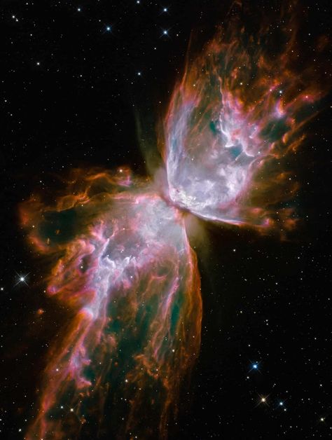 Hubble at 25: the best images from the space telescope - in pictures | Science | The Guardian Butterfly Nebula, Hubble Telescope, The Butterfly, Nasa, The Sky, Stars