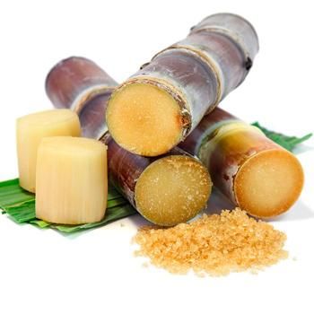 Sugar Cane Plant, Sugarcane Juice, Kinds Of Fruits, Fast Growing Trees, Fruit Plants, Exotic Fruit, Sugar Cane, Tropical Fruit, Planting Herbs