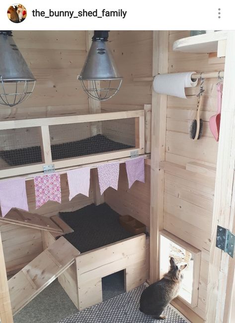 Rabbit Shed Rabbit Sheds Ideas, Bunny Shed Ideas, Rabbit Shed Ideas, Bunny Sheds, Rabbit Shed, Pig Habitat, Diy Rabbit Hutch, Diy Guinea Pig Cage, Outdoor Rabbit Hutch