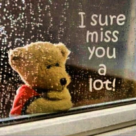 I sure miss you alot टेडी बियर, Miss You Quotes For Him, Love My Life Quotes, Miss You Images, Husband Birthday Quotes, I Miss You Quotes For Him, Missing You Quotes For Him, Quote Girl, Missing You Love