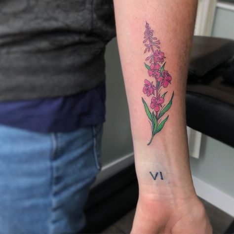 🌿 A dainty sprig of fireweed for Meagan from today 💐 Alaskan Fireweed Tattoo, Fireweed Drawing, Fireweed Tattoo, Flower Tats, Plant Reference, Tats Ideas, Flower Tat, Tattoo Time, Wildflower Tattoo