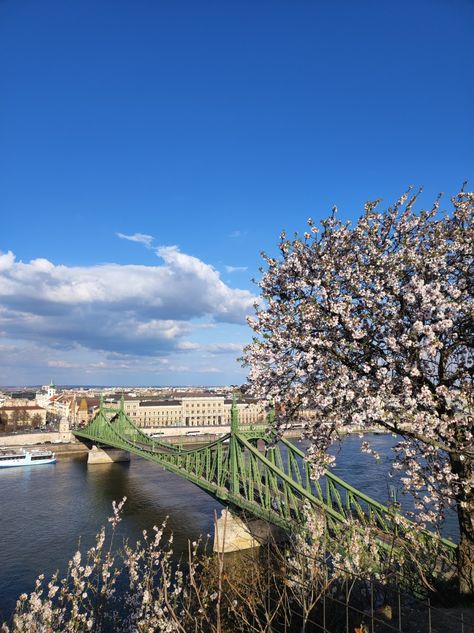 #spring #budapest #gellerthill #city #buda #hungary Budapest Spring, Spring Walk, Hungary, Budapest, Travel