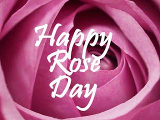 Happy Rose Day 2020 Images, Wallpapers, Pics & Photos Happy Rose Day, Pic Quotes, Cute Captions, Rose Day, Short Instagram Captions, Wishes Images, Valentine Special, Wallpaper Pictures, Love Wallpaper