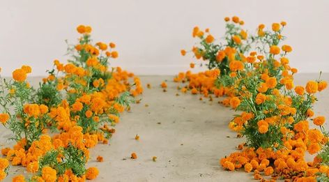 Marigold Aisle Ground Floral Installation, Marigold Wedding Flowers, Siren Floral Co, Marigold Wedding, Floral Installation, Aisle Flowers, Marigold Flower, Orange Wedding, Floral Arch