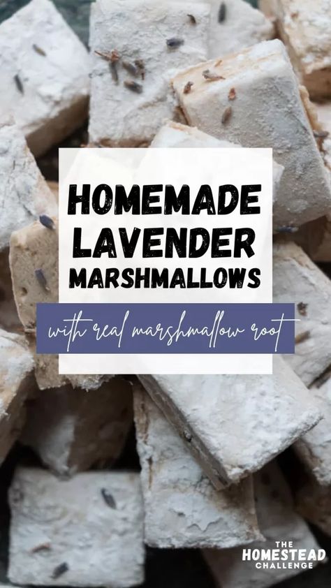 Marshmallows With Marshmallow Root, Honey Marshmallow Recipe, Marshmallow Root Marshmallows, Herbal Marshmallows, Marshmallow Game, Marshmallow Skewers, Marshmallow Recipes, Homemade Marshmallow Recipe, Marshmallow Recipe