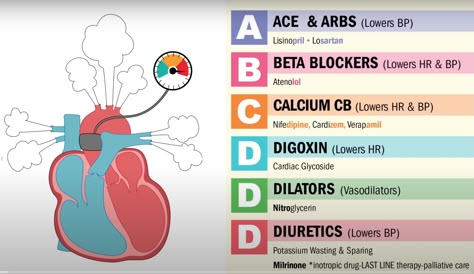 Cardiac Meds, Human Anatomy Notes, Nursing School Survival Kit, Respiratory Therapy Notes, Med Surge, Bsn Nursing, Nursing School Studying Cheat Sheets, Er Nursing, Crna School