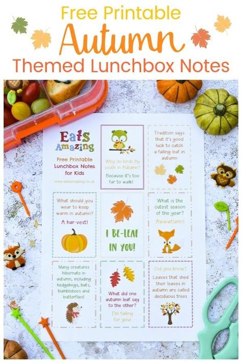 Download your FREE printable Autumn themed lunchbox notes for kids - perfect for popping in lunch boxes and school bags   #EatsAmazing #lunchbox #backtoschool #lunchboxnotes #schoollunch #lunchnotes #kidsfood #funfood #bento #packedlunch #printable #freeprintable #jokes #funfacts #facts #autumn #fall Thanksgiving Lunch Box Notes, Printable Lunchbox Notes, Autumn Meals, Fall Lunch, Kids Lunch Box Notes, Lunchbox Notes For Kids, Thanksgiving Lunch, Fall Crafts For Toddlers, Printable Lunch Box Notes