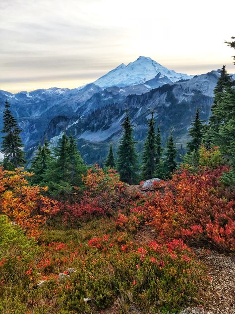 Mount Baker, Mountains Aesthetic, Mountain Landscape Photography, Beautiful Scenery Pictures, Beautiful Locations Nature, Nature Posters, Winter Scenery, Beautiful Nature Wallpaper, Landscape Pictures