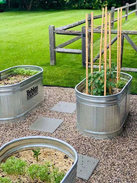 Water Trough Garden, Stock Tank Garden, Stock Tank Gardening, Inexpensive Raised Garden Beds, Backyard Raised Garden, Diy Stock Tank, Horse Trough, Garden Bed Ideas, Raised Garden Planters