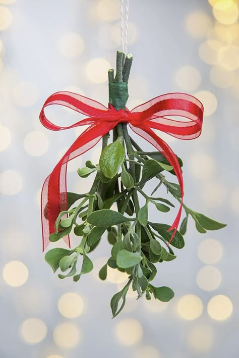 Winter Video, Christmas Bazaar, Christmas Mistletoe, Painted Candles, Under The Mistletoe, Wreaths & Garlands, Character Inspo, Christmas Holly, Fresh Cut