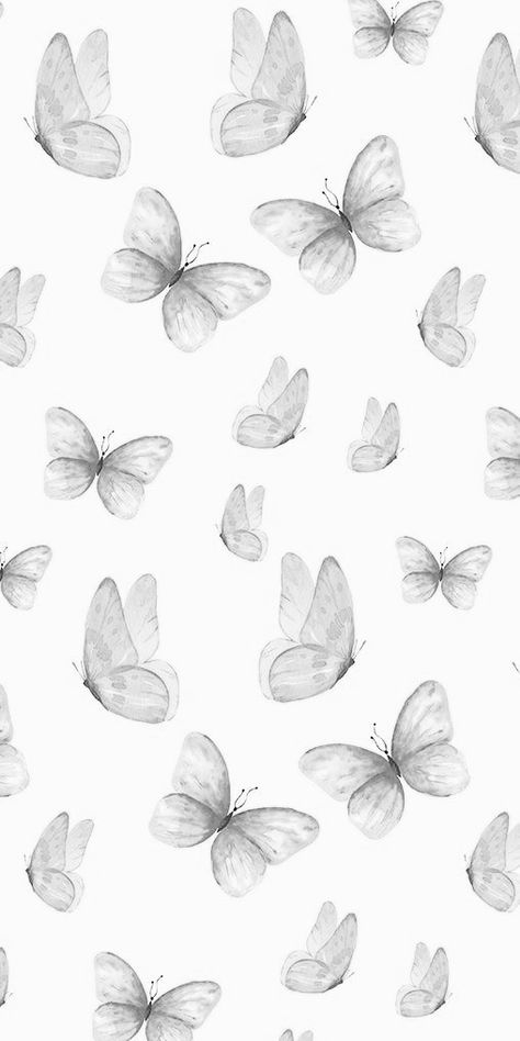 Back And White Astetic, Grey Butterfly, Butterfly Wallpaper White, Cute Black And White, White Astetic Background, Black And White Wallpapers, White Butterfly Wallpaper, Black And White Aesthetic Wallpaper, White Aesthetic Wallpaper