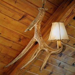 Whitetail Deer 1 Antler Pendant Light Antler Light Fixtures, Rustic Ceiling Light Fixtures, Rustic Bathroom Mirrors, Rustic Toilets, Antler Lights, Rustic Throw Pillows, Rustic Napkins, Antler Pendant, Antler Chandelier