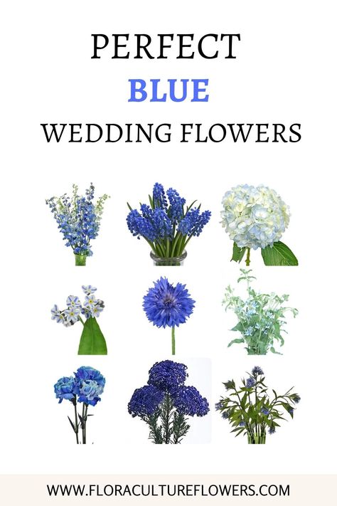 Real Blue Flowers For Wedding, Wedding Bouquet With Blue Flowers, Wedding Flower Arrangements Blue Table Centerpieces, Blue Flowers For Wedding Bouquet, Blue And Cream Floral Arrangements, Blue And White Flowers Centerpieces, Wedding Bouquets With Blue Flowers, Blue Wedding Flowers Table, Small Blue And White Flower Arrangements