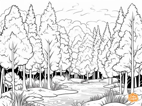 illustration of Forest friends coloring sheet Temperate Deciduous Forest, Forest Coloring Pages, Deciduous Forest, Forest Coloring, Mandala Turtle, Tree Coloring Page, Forest Color, Art Experience, Forest Friends