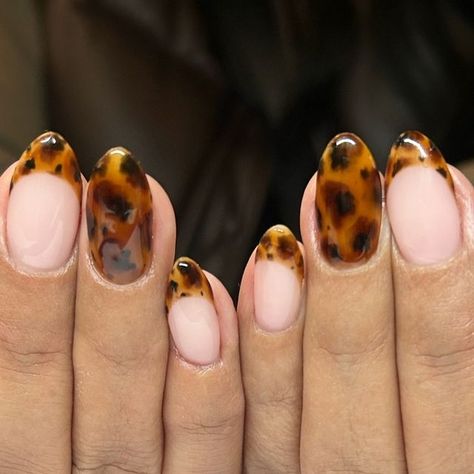 Nails By Kayla on Instagram: "You can never go wrong with classic tortoise shell nails!!😍 • • #fallnails #tortoiseshellnailart #tortoiseshellnails #neutralnails #nailart #brownnails #nailtech #nailstagram #nailaaddict #nailsofinstagram #handpaintednailart #trendynails #gelnails #luminarynails #acrylicnails #nails" Tortoiseshell Nails With Gold, Torrid Shell Nails, Tortoise Gel Nails, Short Tortishell Nails, Brown Turtle Shell Nails, Tortoise Tip Nails, Tortice Nails, Tortoise Shell And Gold Nails, Tortoise Nail Design