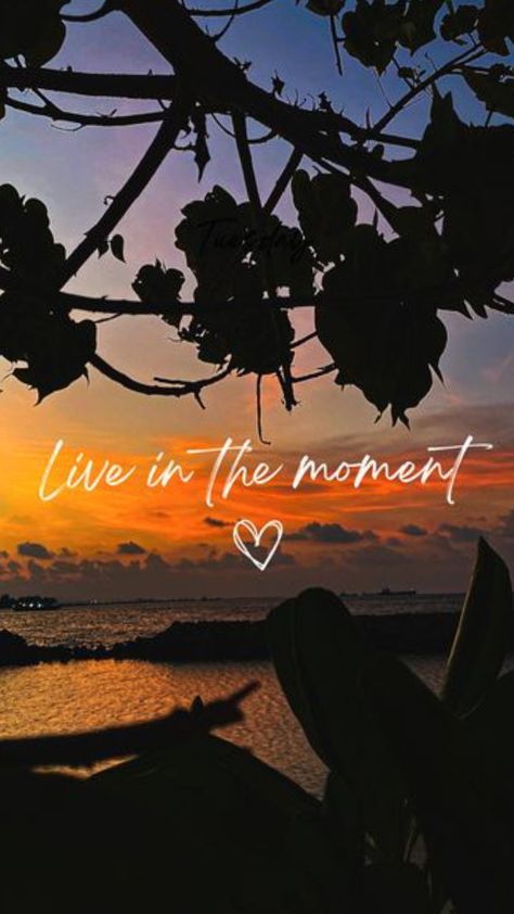 Live The Moment Wallpaper, Vision Board Photos Pictures Happiness, Live In The Moment Aesthetic, Vision Board Photos Pictures Self Care, Living In The Moment Aesthetic, Vision Board Photos Pictures Health, Live In The Moment Wallpaper, Sprital Quotes, Nice Wallpaper For Phone