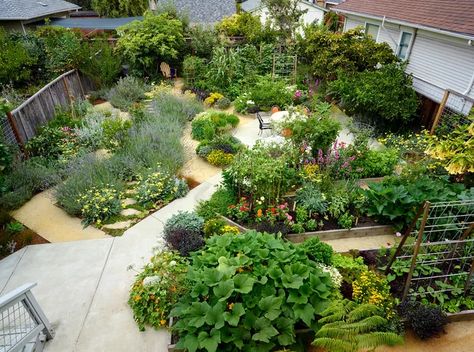 16 No-Grass Backyard Ideas for Designing a Beautiful Outdoor Space Raised Bed Garden Layout, Xeriscape Plants, No Grass Backyard, Sensory Garden, Grasses Garden, Beautiful Yards, Beautiful Outdoor Spaces, Landscape Plans, Garden Pests