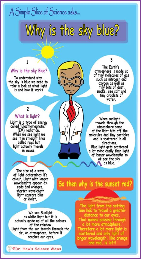 Basic Science For Kids, Why Is The Sky Blue, Science Basics, Science Chart, Everyday Science, Earth Science Lessons, Science Trivia, Learn Physics, Physics Lessons