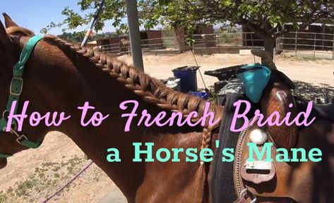 Easy Horse Mane Braids, Horse Mane Braids Westerns, Horse Mane Braids, Braiding Ideas, How To French Braid, Braids Step By Step, Horse Braiding, Tail Braids, Different Braids