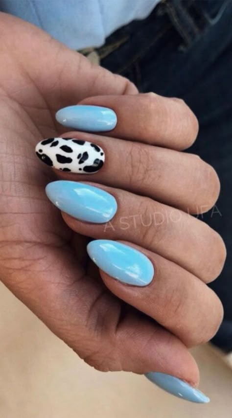 Baby Blue Oval Nails, Nail Designs Cow Print, Cow Print Nails With Blue, Cow Print And Blue Nails, Blue Nails With Cow Print, Pink And Blue Cow Print Nails, Cow Print Nails Blue, Blue Cow Nails, Blue Nails Cow Print