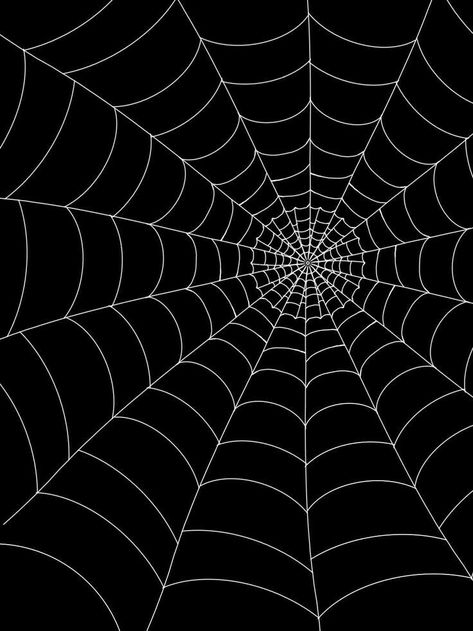 Spiderman Overlay, Spider Web Tattoo Elbow, Spiderman Webs, Spider Web Wallpaper, Spider Web Background, Calligraphy Lines, Uicideboy Wallpaper, Strawberry Wallpaper, I Miss You Wallpaper