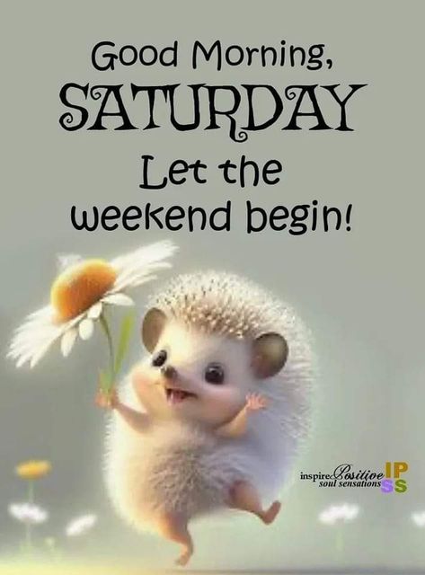 Saturday Quotes Funny, Saturday Morning Humor, Happy Sayings, Happy Saturday Quotes, Saturday Morning Quotes, Saturday Greetings, Weekend Greetings, Good Day Wishes, Happy Day Quotes