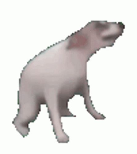 Dancing Dog Gif, Dog Dance, Meme Gifs, Pixel Gif, Pretty Gif, Dance Memes, Dog Animation, Dancing Animals, Random Gif