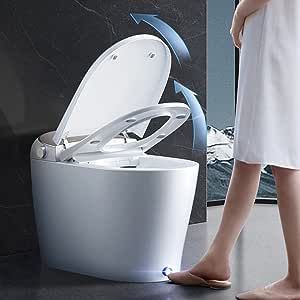 Integrated Toilet, Bidet Toilet Combo, Self Cleaning Toilet, Bathroom Night Light, Japanese Toilet, Toilet Installation, Smart Toilet, Bidet Toilet, Flush Toilet