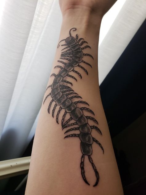 Kaneki Centipede Tattoo, Tokyo Ghoul Centipede Tattoo, Tokyo Ghoul Centipede, Centipede Tattoos, Centipede Tattoo, Tattoos Leg, Nice Tattoos, Fairy Tattoo, Leg Tattoo