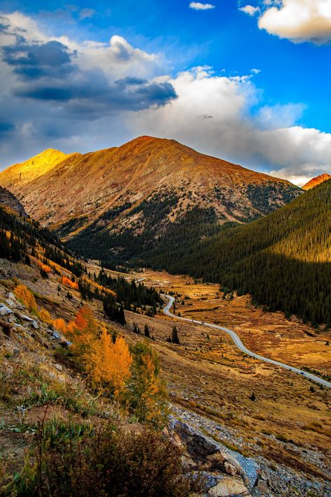 11 Colorful Autumn Drives in Colorado | Top Places to See Fall Foliage Colorado Waterfalls, Places In Colorado, Denver Travel, Road Trip To Colorado, Colorado Fall, Watercolor Subjects, Colorado Hiking, Crested Butte, Autumn Drives