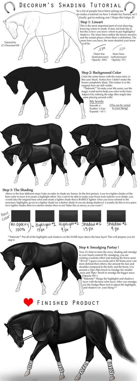 Some of the many movements of dressage. Also available over at htdhorses.com Now with 10% more horsey goodness! Basic Shading, Horse Drawing Tutorial, Shading Tutorial, Horse Sketch, Horse Anatomy, Train Art, Horse Drawing, Horse Drawings, Creature Drawings