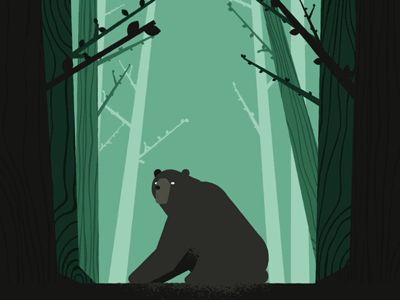 Animal Animation Cartoon, Bear Animation, C4d Animation, Optical Illusion Gif, Animation Tips, Illusion Gif, Bear Gif, Senior Thesis, Interactive Walls