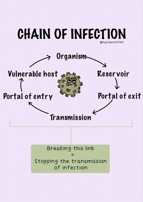 Ems Notes, Chain Of Infection, Nurse Notes, Student Tips, Nursing Student Tips, Fundamentals Of Nursing, Med Surg, Nursing School Notes, Nurse Stuff