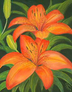 Tiger Lily Flowers, Flower Gardening Ideas, Tiger Lilies, Lilly Flower, Lily Painting, Acrylic Painting Flowers, Flowers Drawing, Lily Flowers, All Things Beautiful