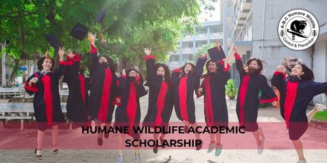 Give a start to your studies with the help of Humane Wildlife Academic Scholarship. STEM Women currently enrolled at U.S college or university may apply. Stem Women, Gender Equity, Reference Letter, A Start, Community College, University Student, College Life, Colleges And Universities, Life Experiences