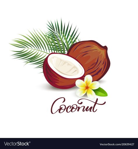 Coconut Illustration Design, Coconut Illustration, Coconut Logo, Coco Logo, Concept Art Tutorial, Soap Labels, Drinks Logo, Profile Pictures Instagram, Leaves Vector