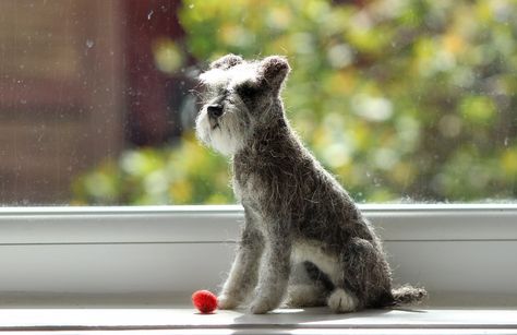 https://flic.kr/p/FuRfYU | schnauzer for brighton 012 | needle felted by feltedfido Chocolate Schnauzer, Fiber Animals, Needle Felted Dog, Wool Felting, Sweet Hearts, Textile Sculpture, Dog Artwork, Sewing Stuffed Animals, Schnauzer Dogs