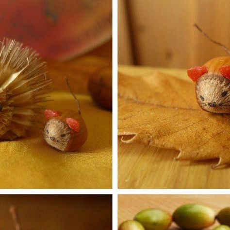 Myriad Natural Toys & Crafts | Waldorf inspired with love on Instagram: "Autumn is the best time for collecting nature finds and adding to your play and crafting. Teasel hedgehogs, hazelnut mice and acorn snakes - what will you make with your autumn nature finds?   We have compiled our best autumn craft ideas in a Journal post - link in bio.  #Nature #AutumnCrafts #Autumn #SeasonalDisplay #SeasonTable #NatureTable #NatureActivities #WaldorfInspired #WaldorfEveryday #ABeautifulChildhood #MyriadNaturalToys #WoodenToys #SeasonalLiving #CraftIdeas" Waldorf Autumn Crafts, Acorn Animals, Waldorf Autumn, Autumn Craft Ideas, Acorn Mushroom, Waldorf Teaching, Autumn Craft, Instagram Autumn, Seasonal Displays