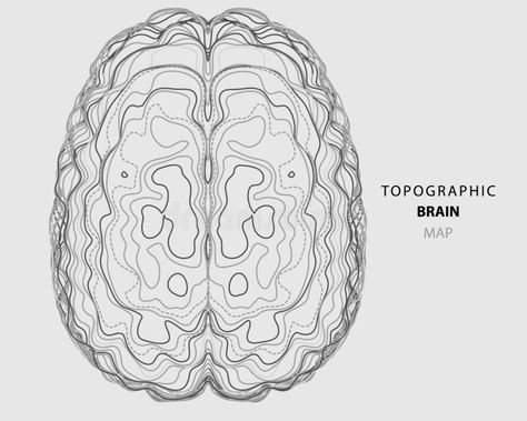 Abstract topographic map of human brain. Conceptual of creative and artificial i #Sponsored , #paid, #paid, #topographic, #human, #creative, #map Topographic Tattoo, Topographic Map Tattoo, Topographical Art, Creative Map Design, Organs Illustration, Topographic Map Design, Topographic Art, Futuristic Forms, Creative Maps