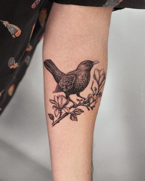 ＶＩＣ 🥀 | Blackbird and magnolias. Done at @studio.sanspatrie // Thanks James 🖤 . . . . . #Blackbird #BirdTattoo #Magnolia #MagnoliaTattoo… | Instagram Cedar Waxwing Tattoo, Monkshood Tattoo, Oak Tree Branch Tattoo, Blackbird Tattoo, Microrealism Tattoo, Tree Branch Tattoo, Magnolia Tattoo, Tattoo Uk, Black Bird Tattoo