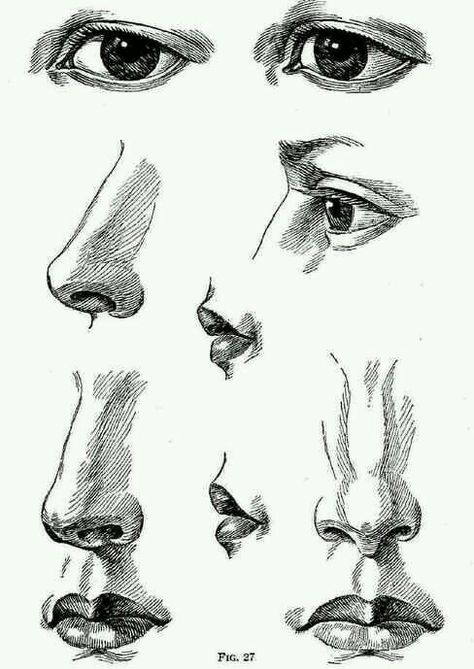 Noise and eye Draw Noses, 얼굴 드로잉, Nose Drawing, 얼굴 그리기, The Nose, Art Instructions, Drawing Techniques, Side View, Drawing People