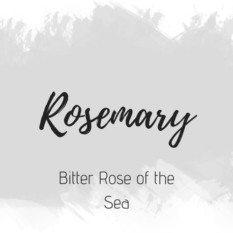 Rosemary Name Meaning, Rosemary Name, Names I Adore, Name Ideas For Characters, Names Design, Crimson Rose, Names Meaning, Aesthetic Name, Meaningful Baby Names