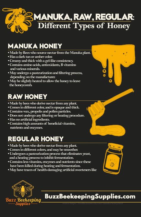 Different Types Of Honey, Types Of Bellies, Honey Bee Farming, Honey Bee Facts, Honey Bees Keeping, Bee Farming, Bee Friendly Plants, Bee Hive Plans, Types Of Honey