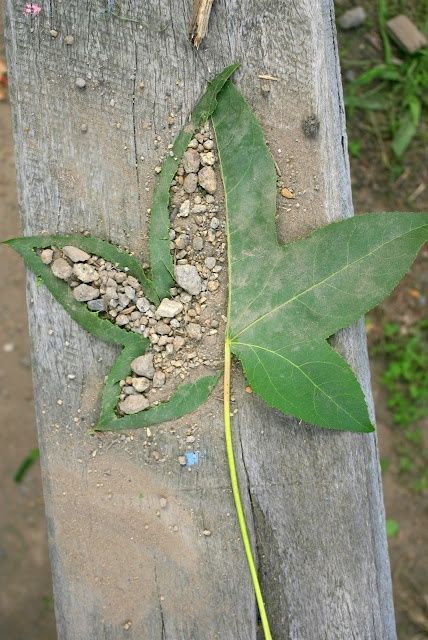 What Is Ephemeral Art? Read To Know More Environmental Art Projects, Bored Art, Ephemeral Art, Artist Study, Andy Goldsworthy, Nature Artists, Earth Art, Interesting Places, Camping Art