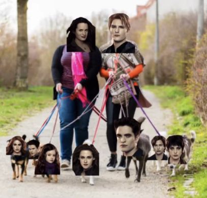 Twilight Pfp Funny, Edward Twilight Funny, Funny Edward Cullen, Twilight Cast Pictures, Twilight Funny Pictures, Edward Cullen Funny, Walk Em Like A Dog, Twilight Meme, Funny Twilight