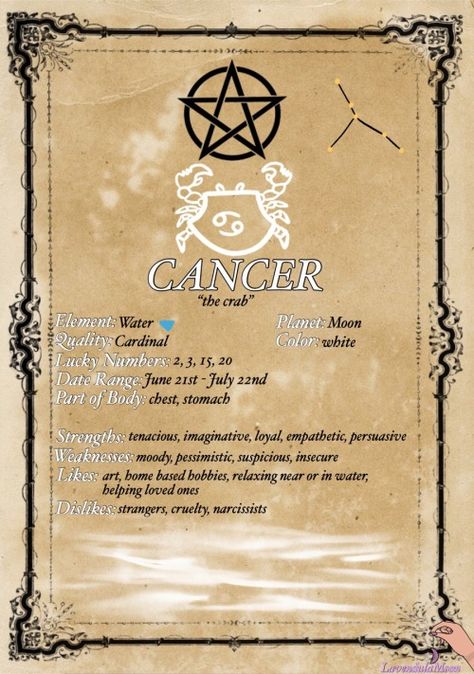 Zodiac Signs Witchcraft, Zodiac Witchcraft, Witchy Designs, Kartu Tarot, Magia Das Ervas, Wiccan Magic, Elemental Magic, Grimoire Book, Wiccan Spell Book