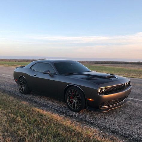 Dodge Challenger 😍 Doogee Challenger, 392 Challenger, Doge Challenger, Dodge Challenger Black, Dodge Challenger Gt, Challenger Dodge, Tmax Yamaha, 2014 Dodge Challenger, Dodge Challenger Hellcat